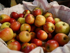 Filmpremiere "Ein stummer Hund will ich nicht sein!"