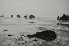 Gemeinsam mehr erreichen